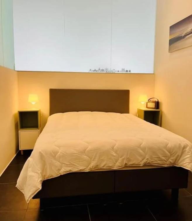 Dansaert Bright Loft Appartement